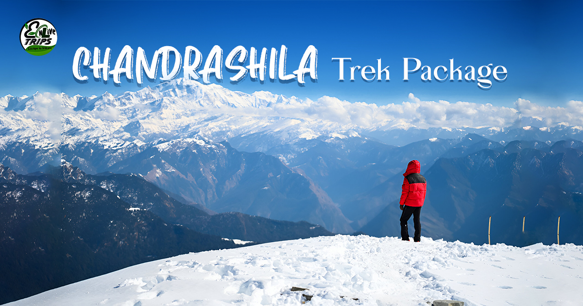 Chopta tour packages
